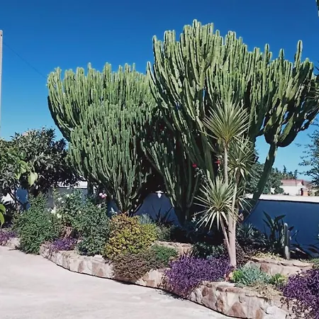 Alojamiento El Drago - Solo Familias Y Parejas Casa vacanze