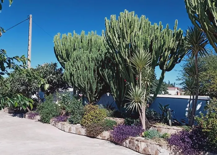 Alojamiento El Drago - Solo Familias Y Parejas Feriehus