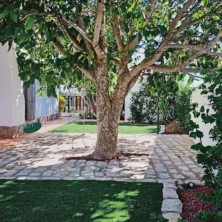 Alojamiento El Drago - Sólo Familias Y Parejas