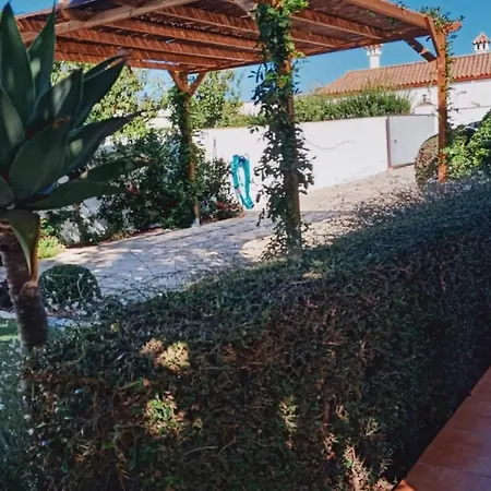 Alojamiento El Drago - Sólo Familias Y Parejas Conil De La Frontera